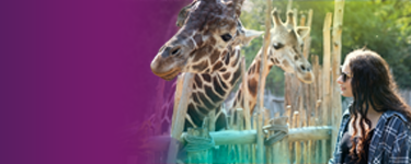 Molly lives with OTC.