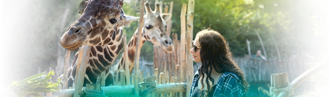 Molly lives with OTC.